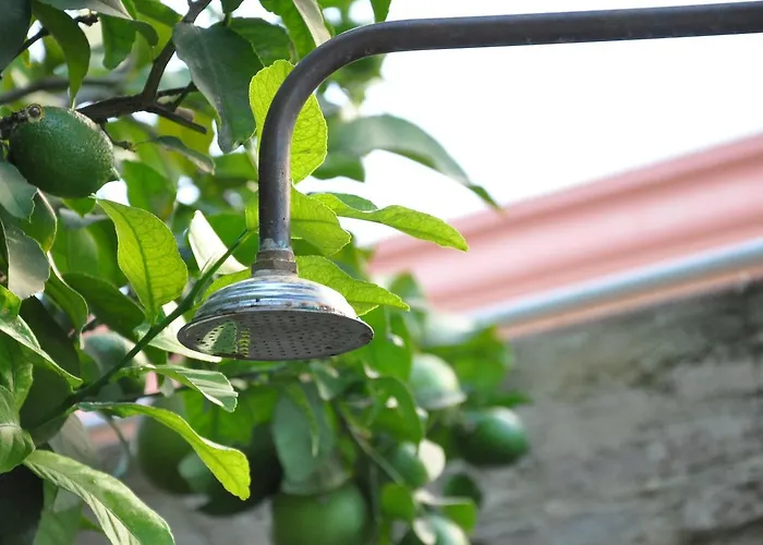 Auberge de jeunesse Lemon Garden Séville
