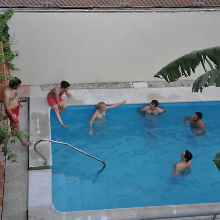 Hostel Lemon Garden