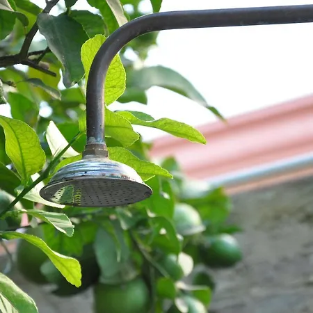 Albergue Lemon Garden Sevilha