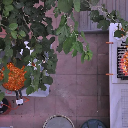 Lemon Garden Albergue *